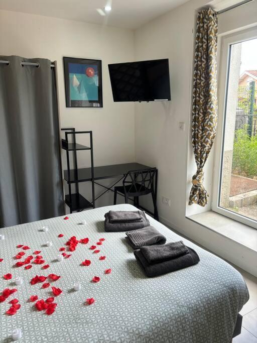 Appartement Mozart Cosy *