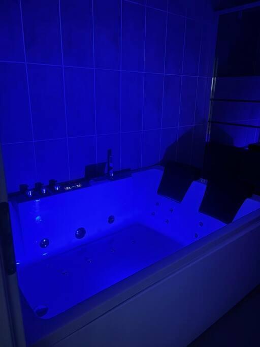 Mozart Cosy * Chasse-sur-Rhone