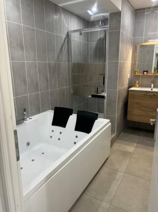 Mozart Cosy * Chasse-sur-Rhone