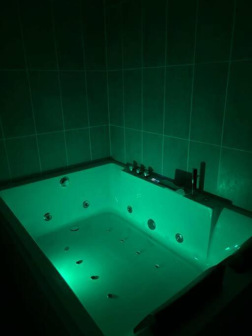Mozart Cosy Apartment Chasse-sur-Rhone